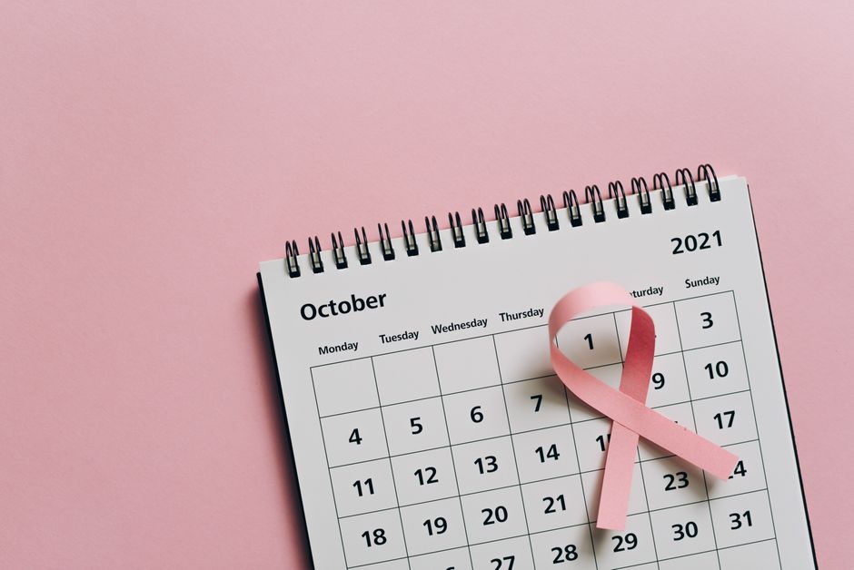 Your Month-by-Month Guide to a Perfect Year in St. Louis: October Insights